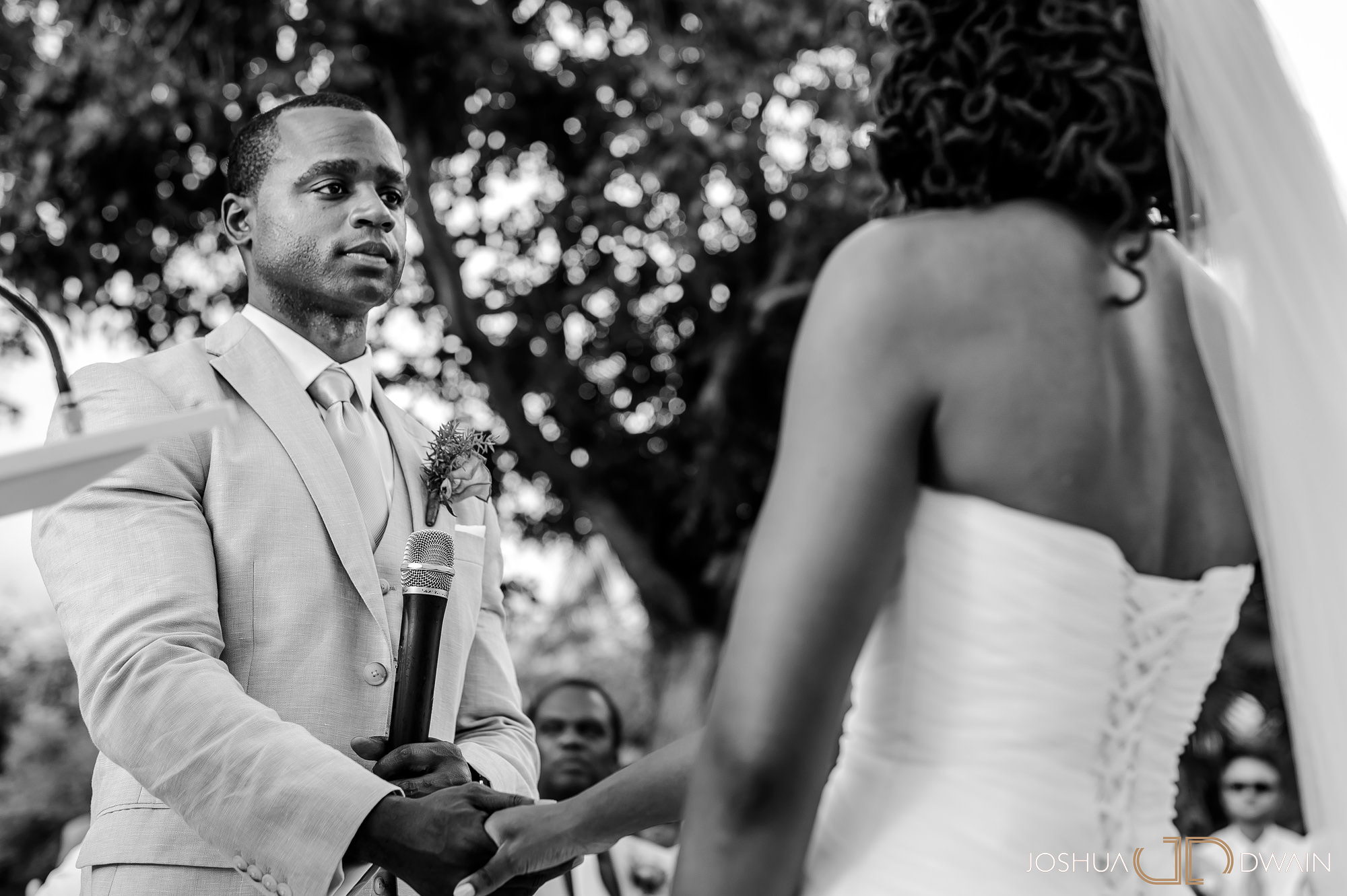 Orly & Darnel's Wedding Photos in Montrouis, Haiti